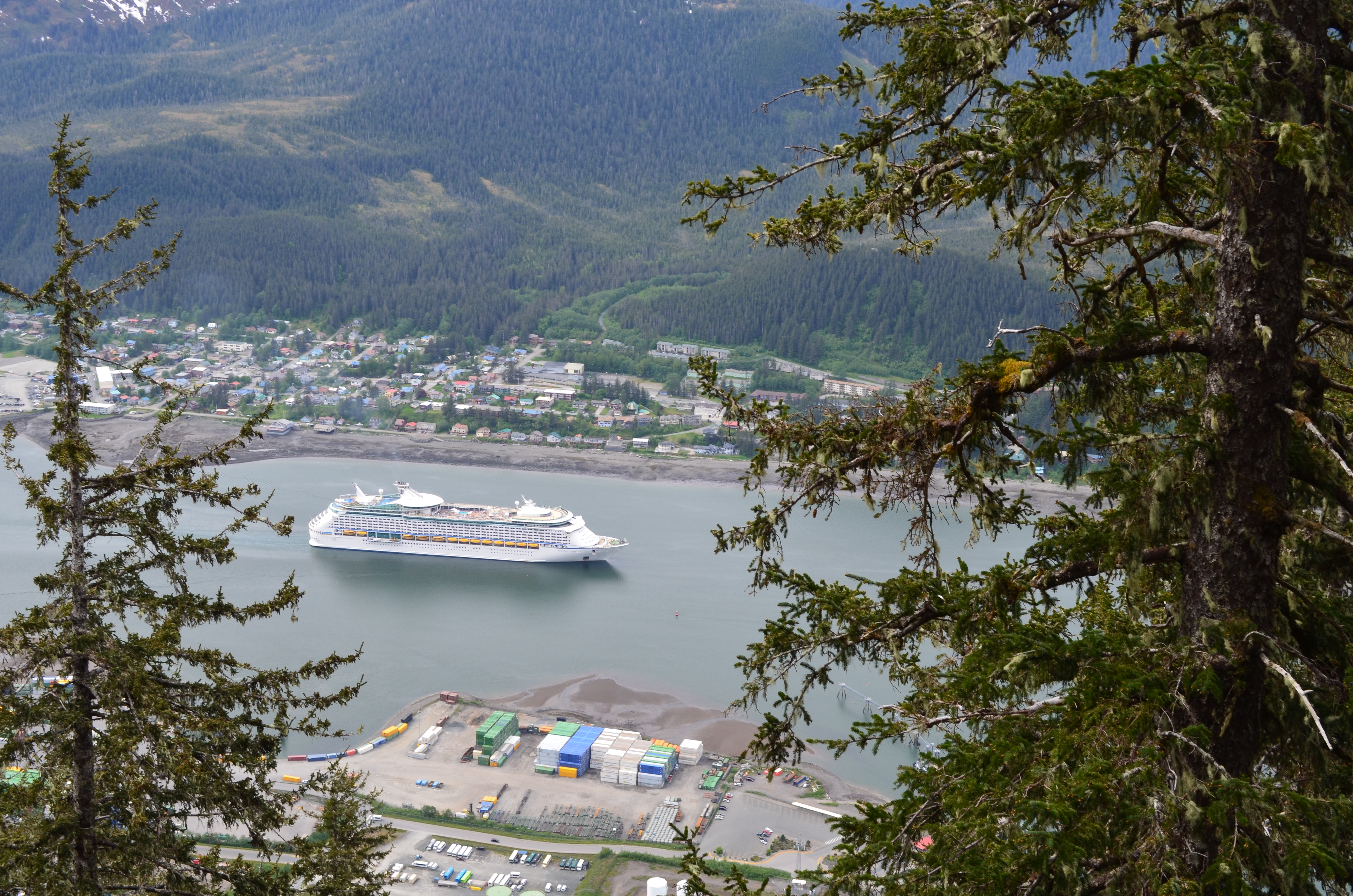 ./2017/08 - Alaska Cruise/08 - Juneau/DSC_0940.JPG